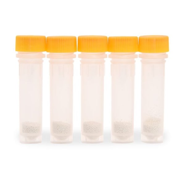 2mL Tube, Yellow, Yeast, 100/pk, 100PK